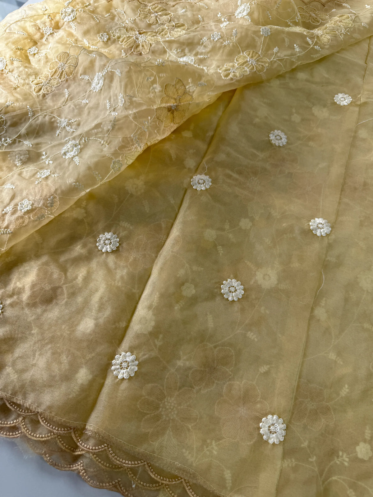 Soft Organza Saree/ CW779