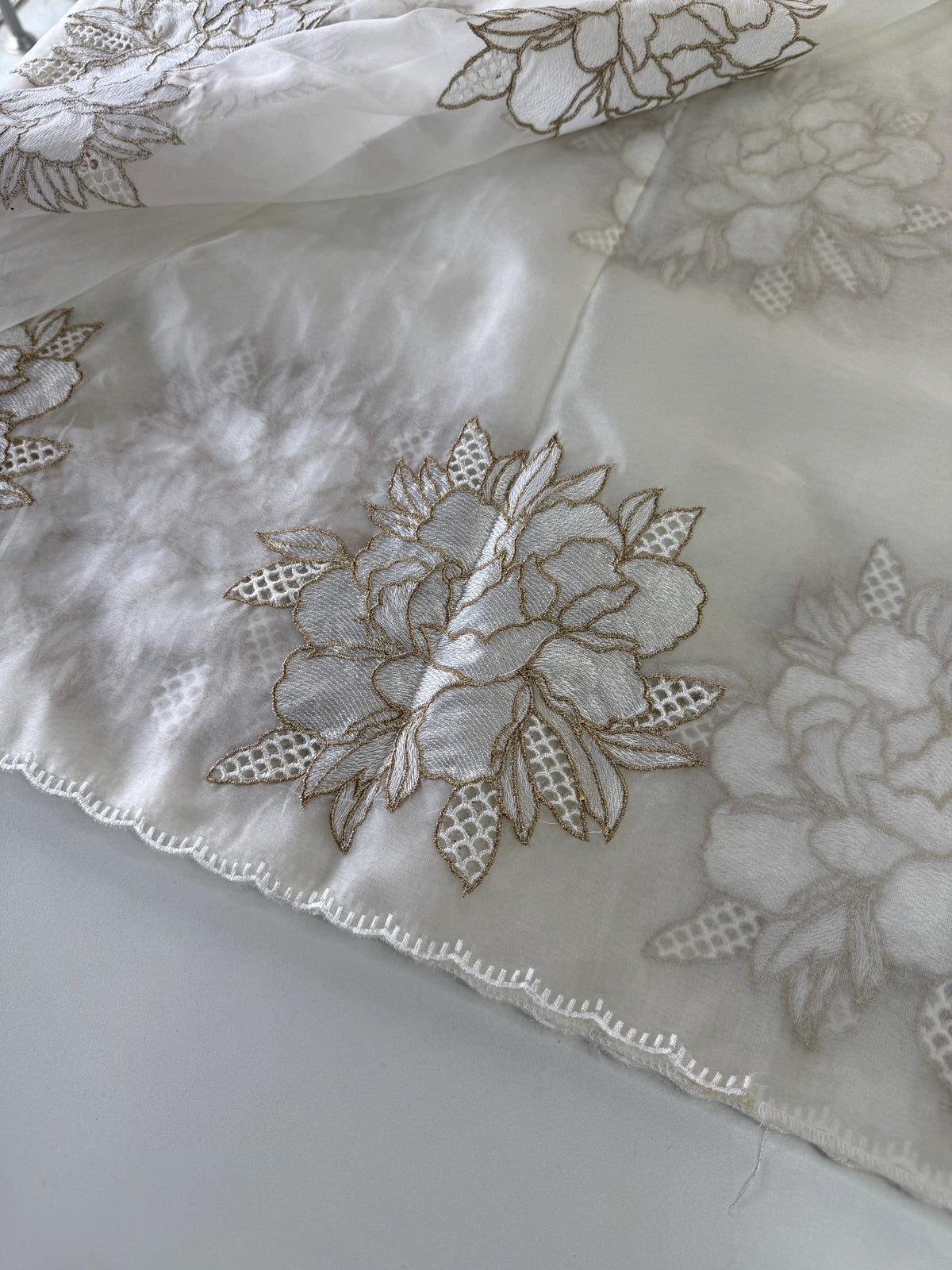 Soft organza saree/ CW766