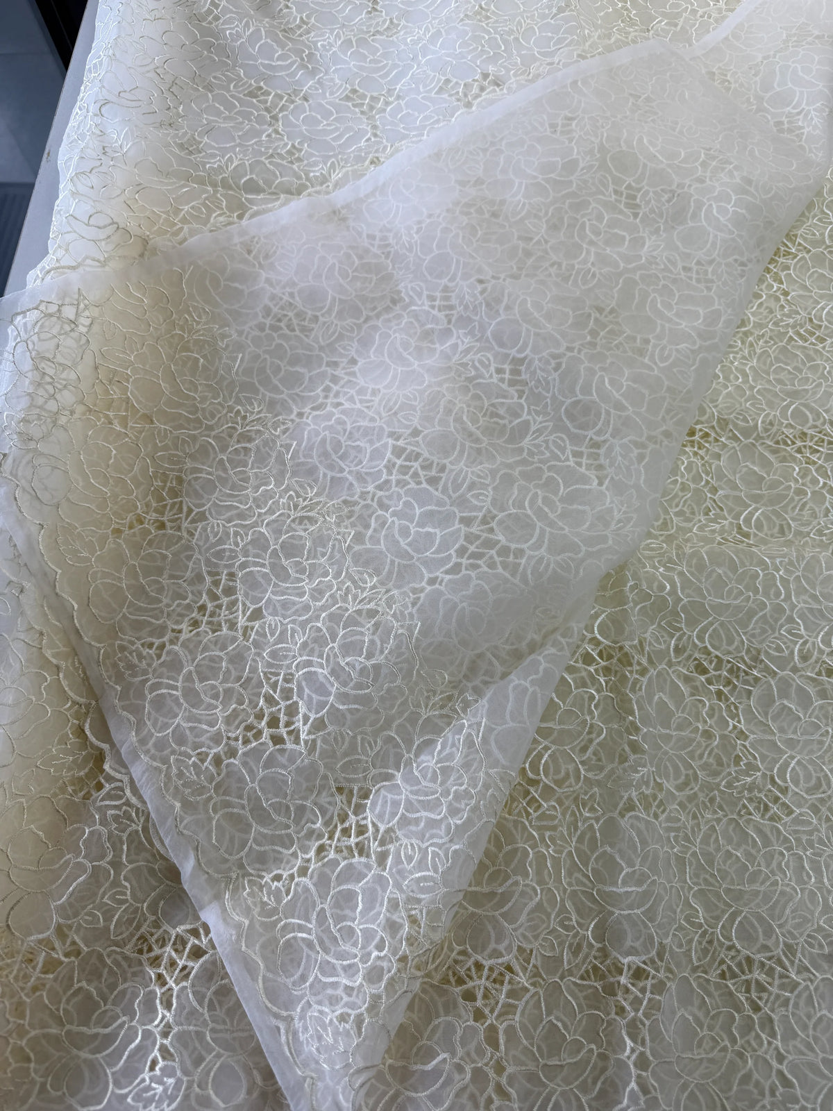 Soft Organza Saree/ AM103