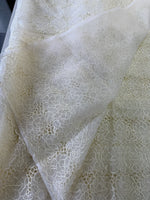 Soft Organza Saree/ AM103