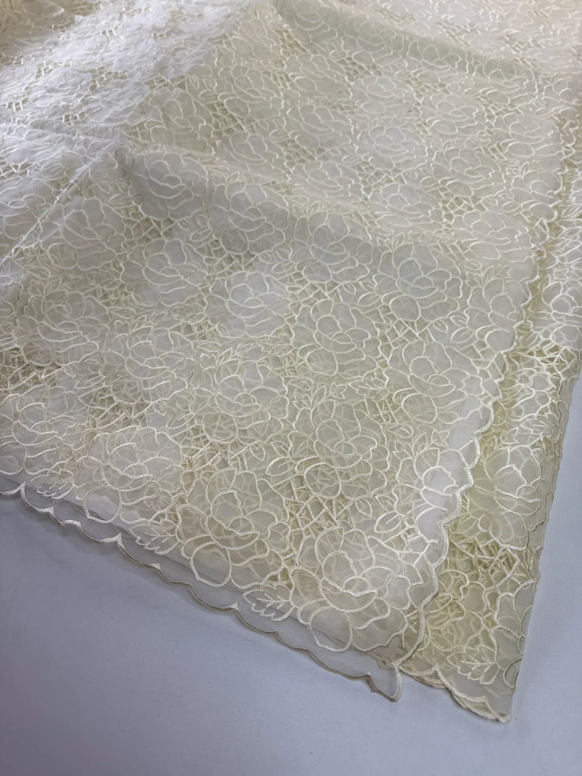 Soft Organza Saree/ AM103