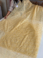 Soft Organza Saree/ AM103