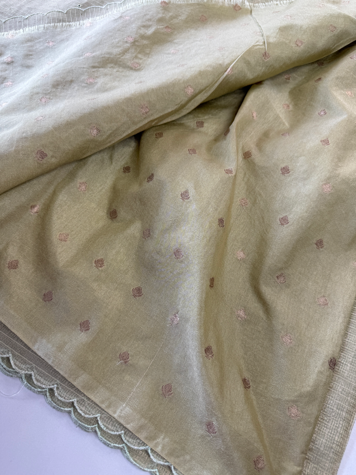 Tissue kotta Saree/ A3689