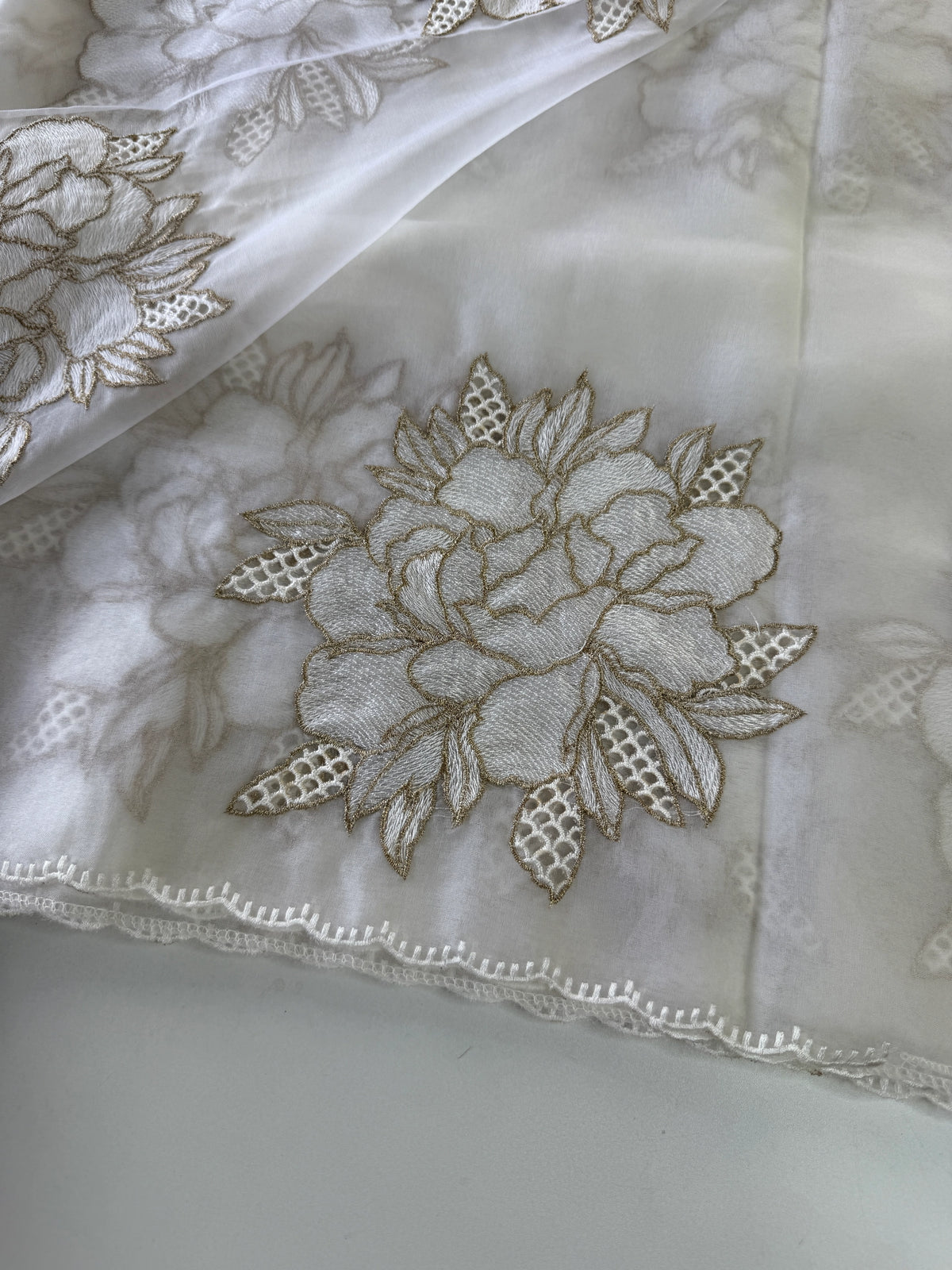 Soft organza saree/ CW766