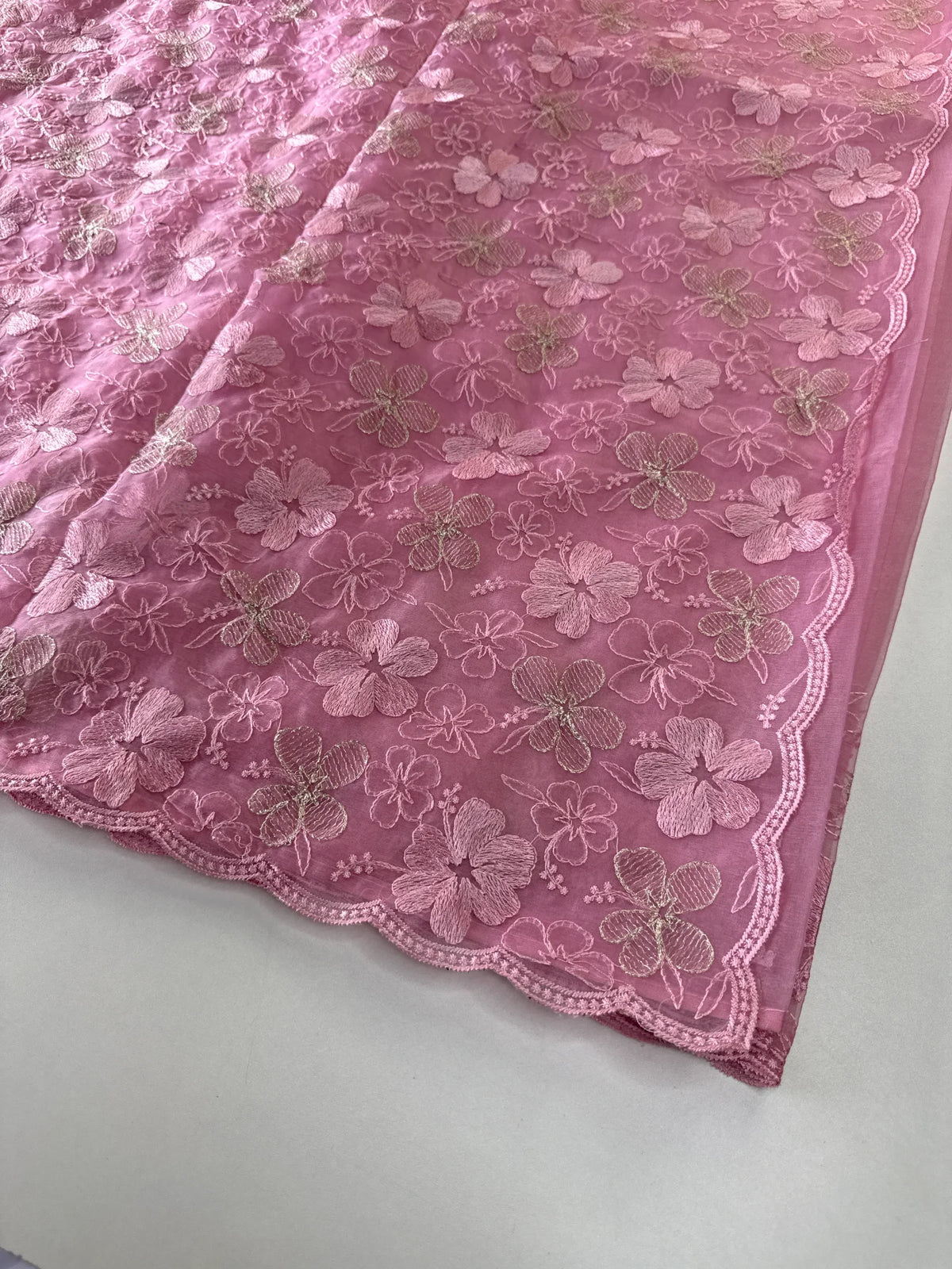 Soft organza Saree/ CW804
