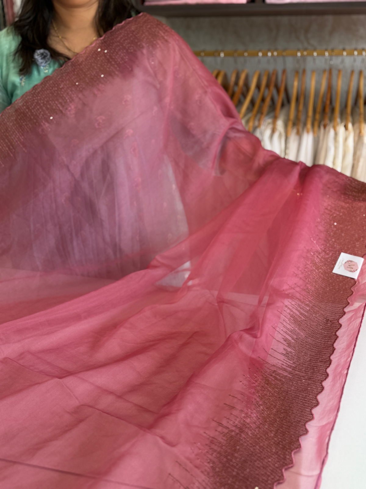 Soft organza saree/ CW296