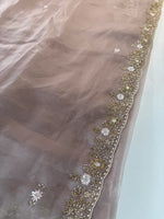 Glass organza party wear saree/ SA850