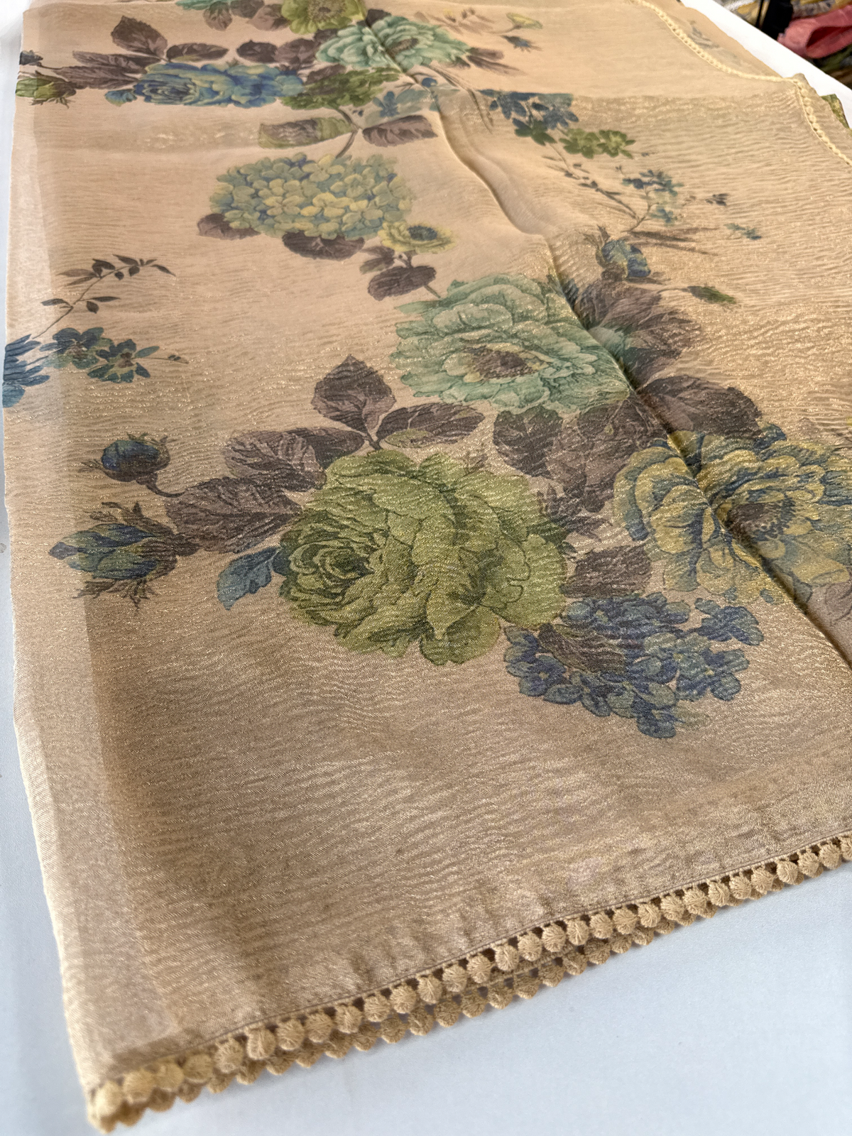 Tissue saree / BE01