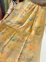 Tissue saree/ SB101