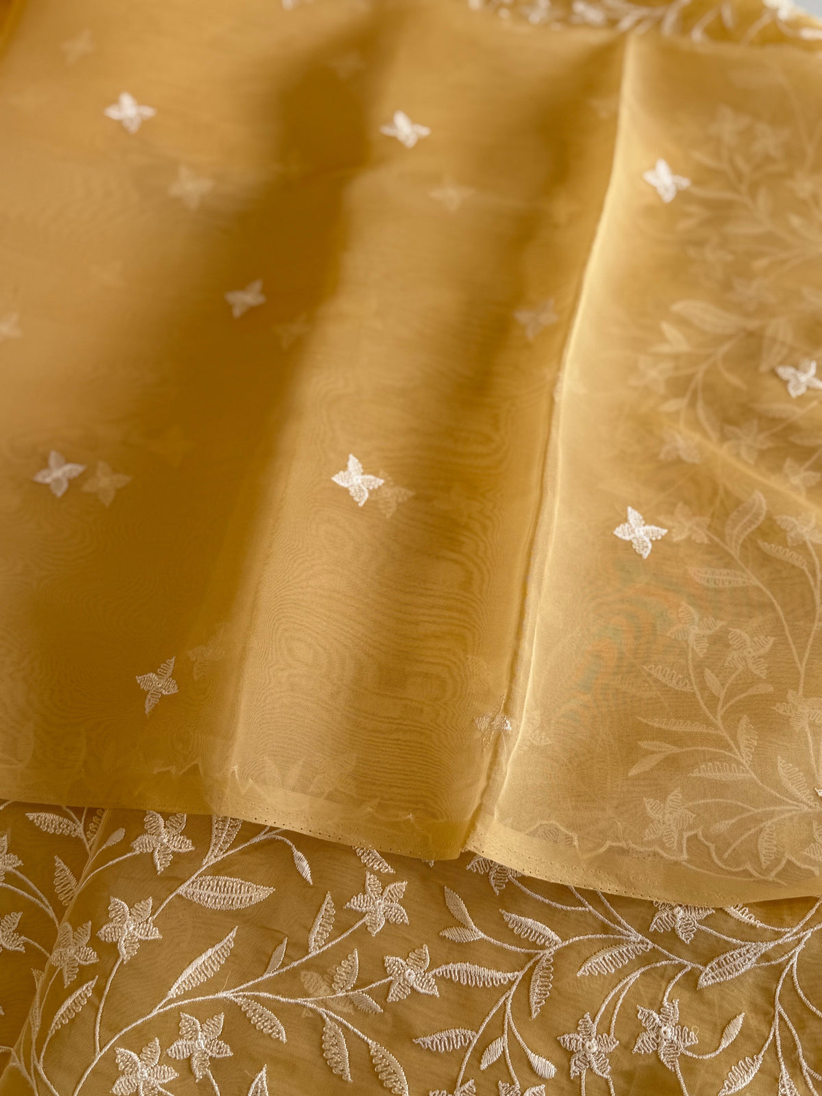 Viscous organza saree/ BL137