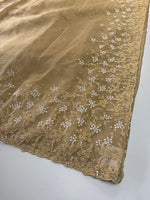 Tissue Chanderi saree/ HL456