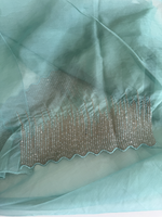 Soft organza saree/ CW296