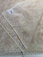 Soft Organza Saree / 221A