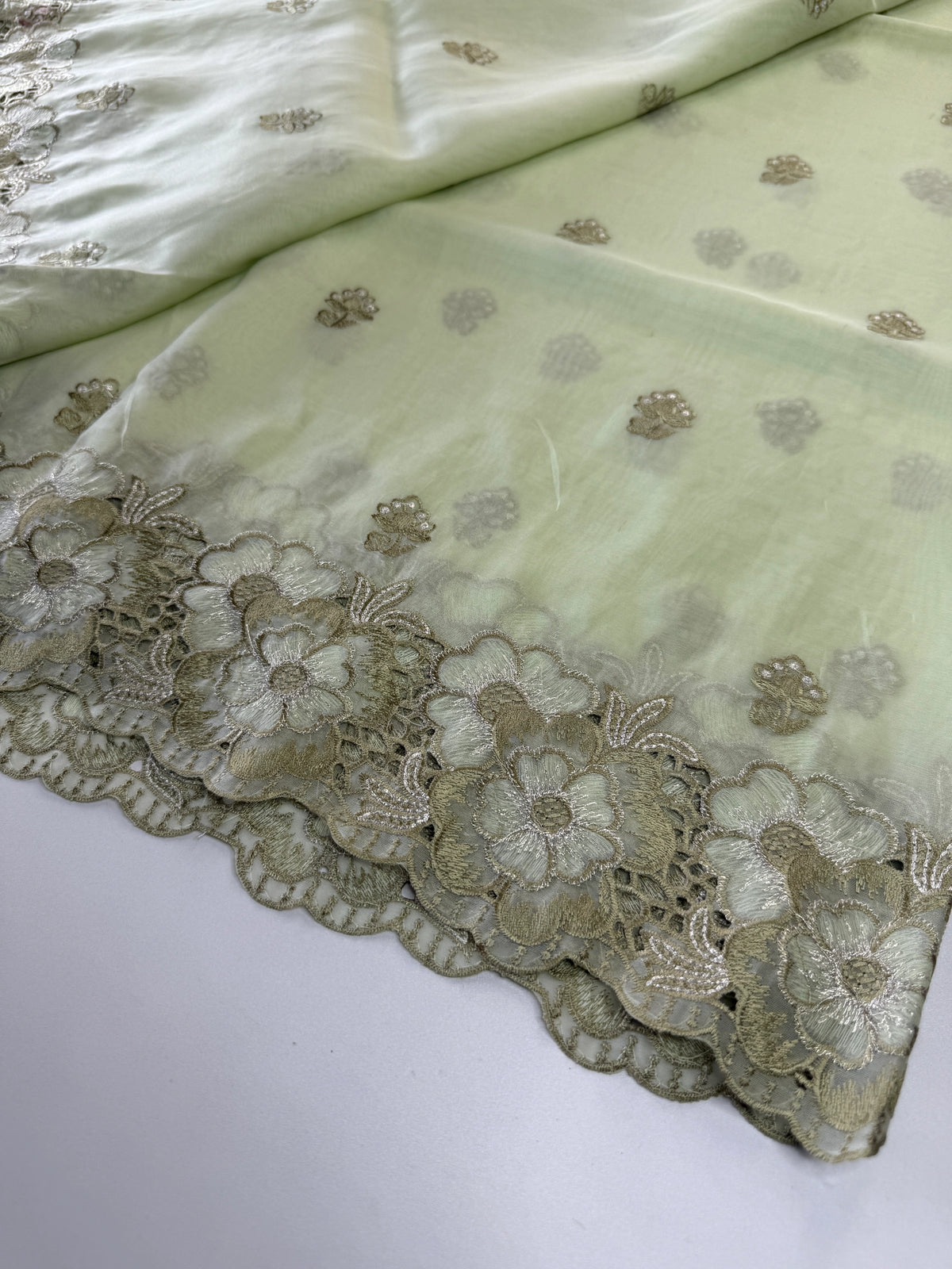 Organza Saree/ 6296