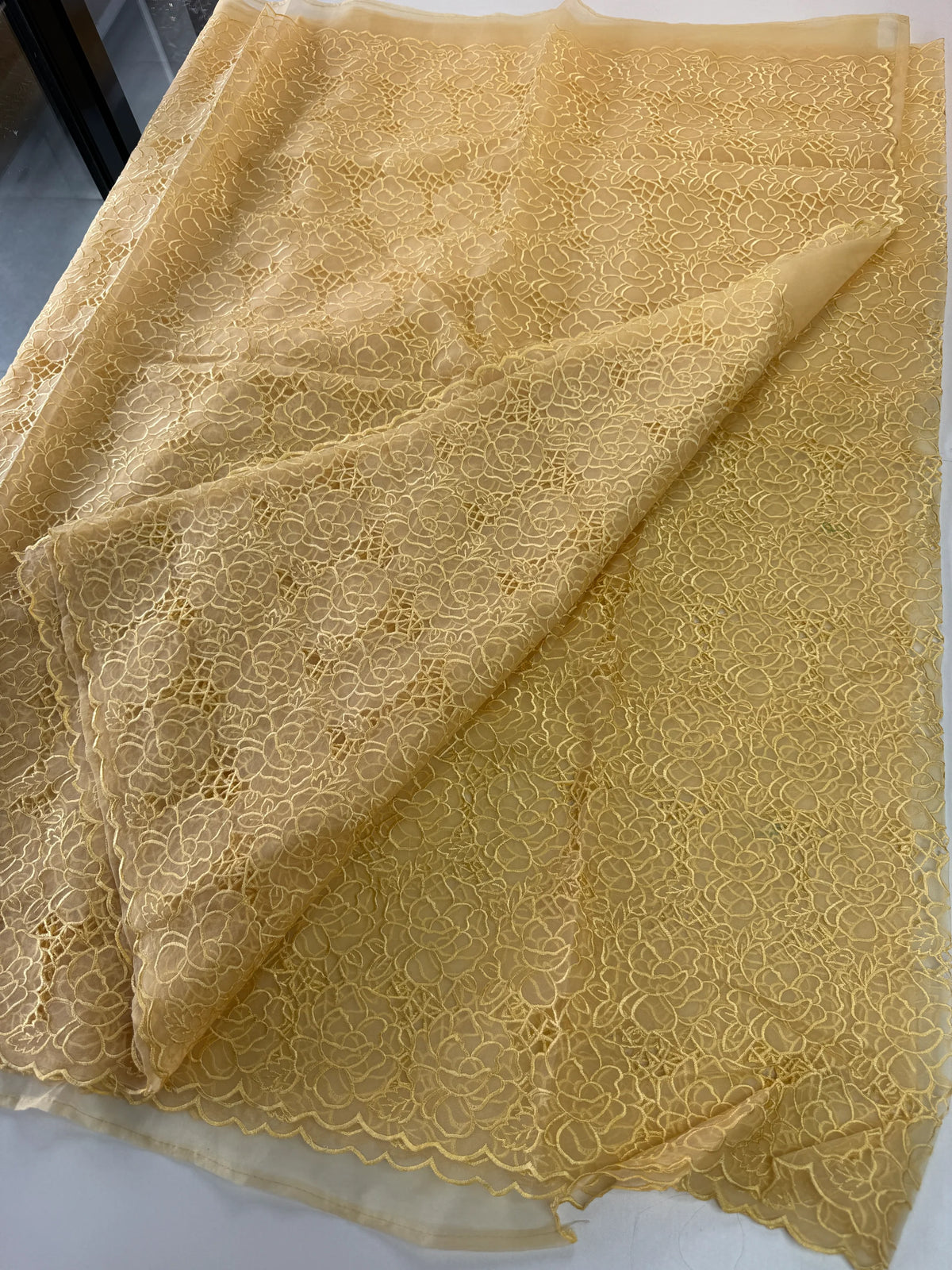 Soft Organza Saree/ AM103