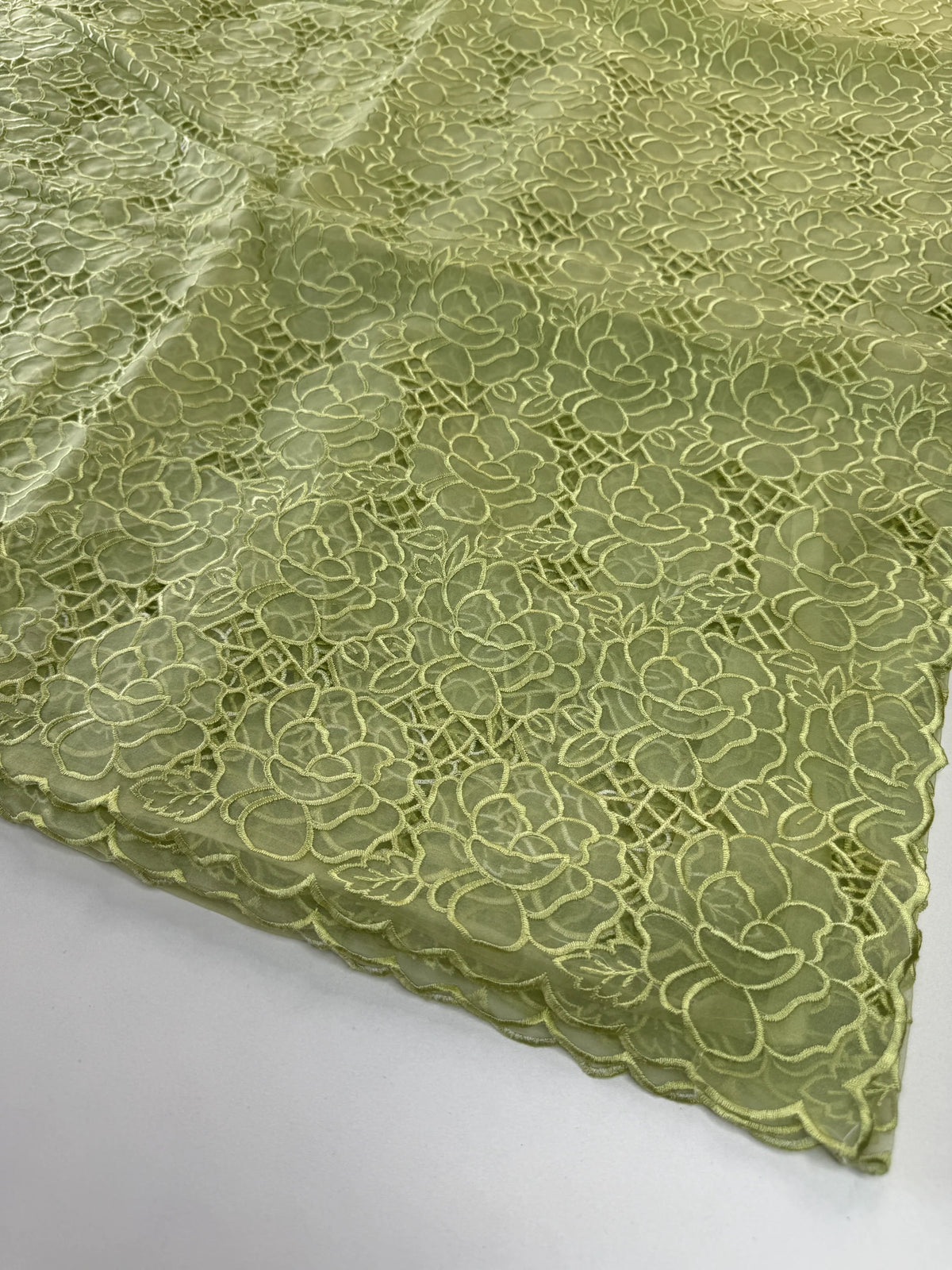 Soft Organza Saree/ AM103