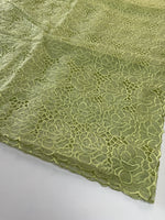 Soft Organza Saree/ AM103