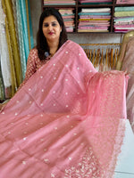 Viscous organza saree/ BL137