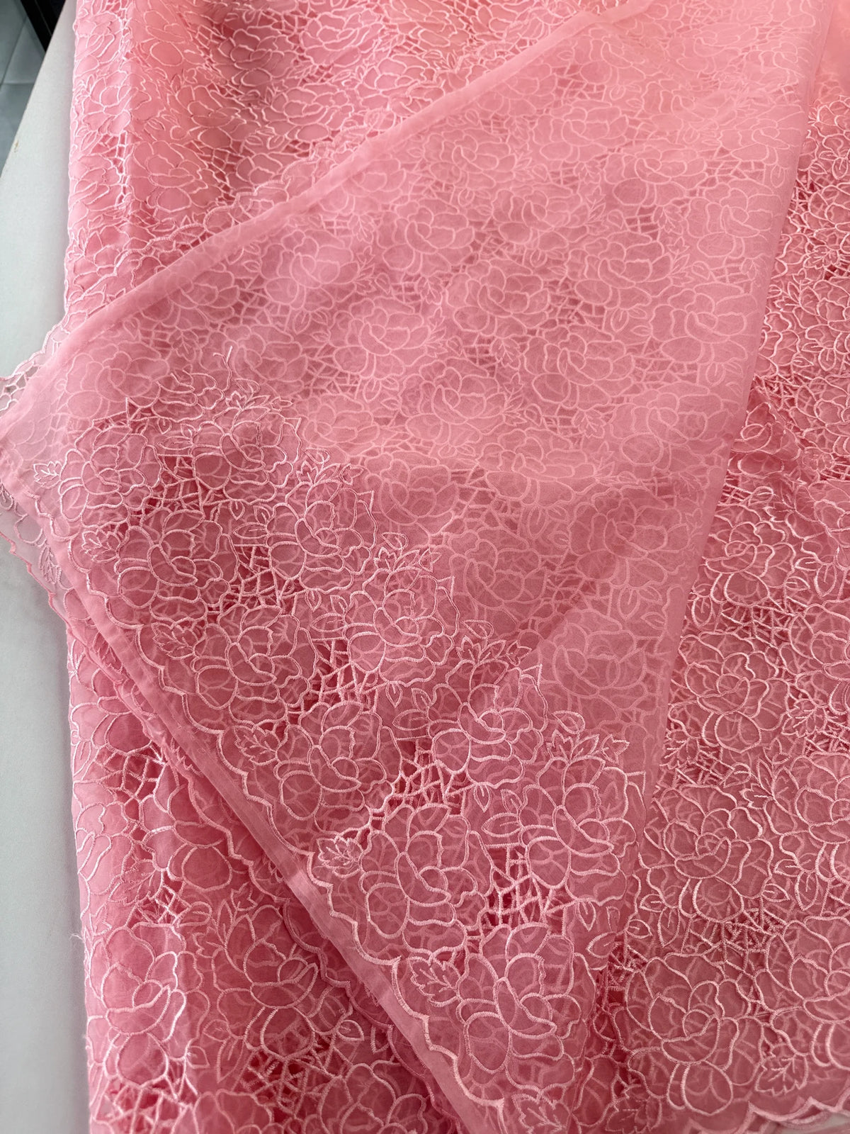 Soft Organza Saree/ AM103