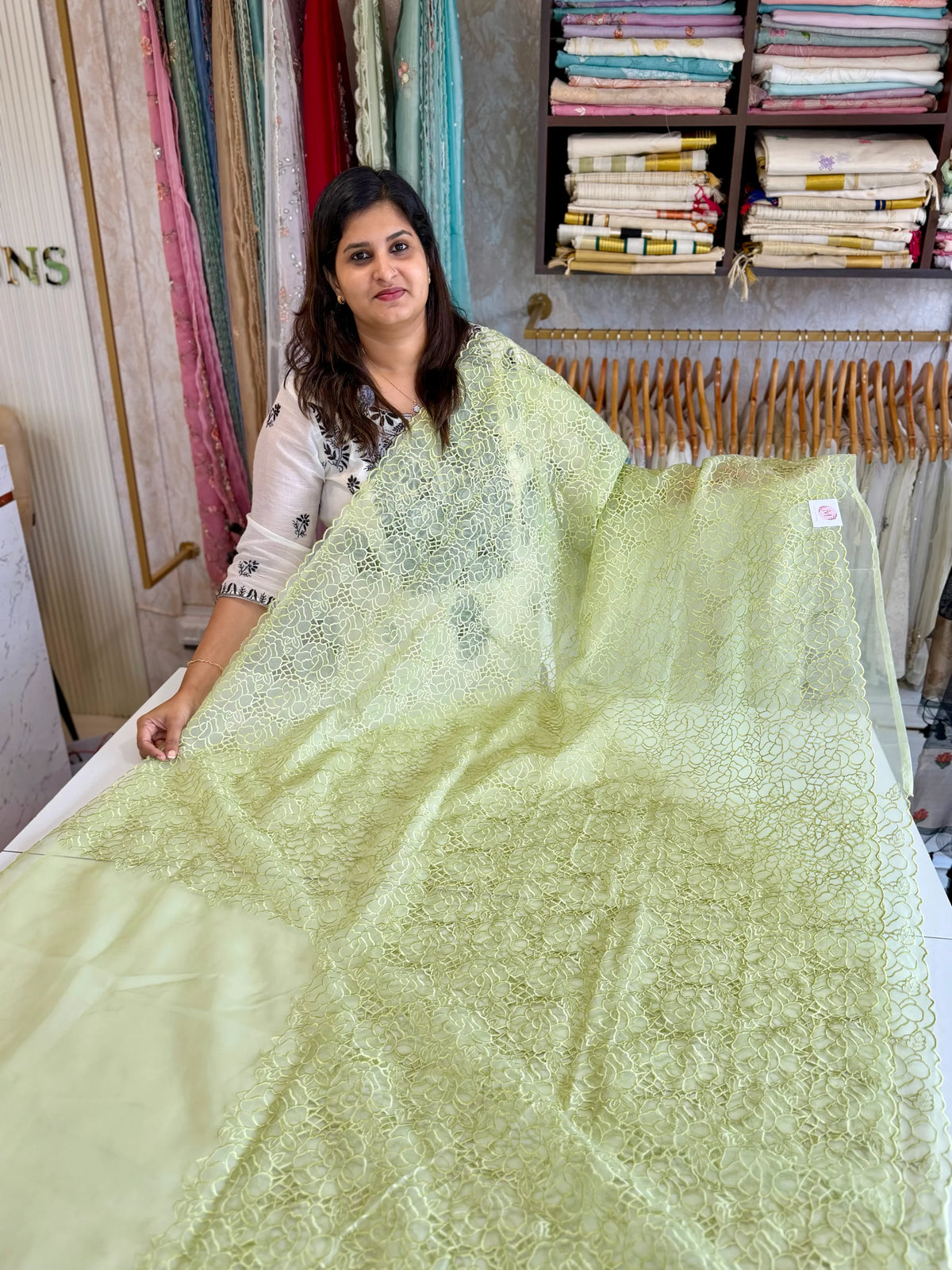 Soft Organza Saree/ AM103