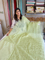 Soft Organza Saree/ AM103