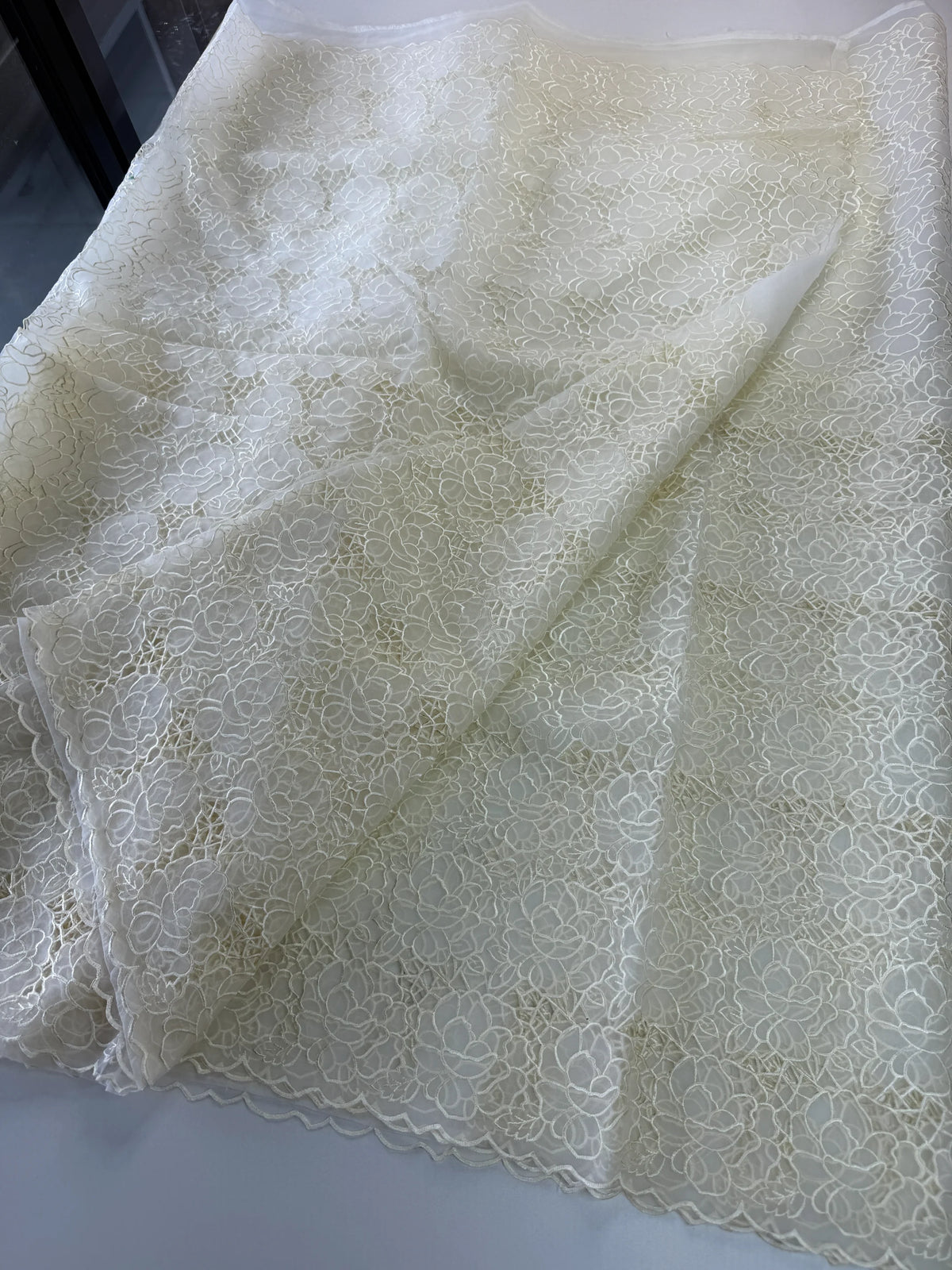 Soft Organza Saree/ AM103
