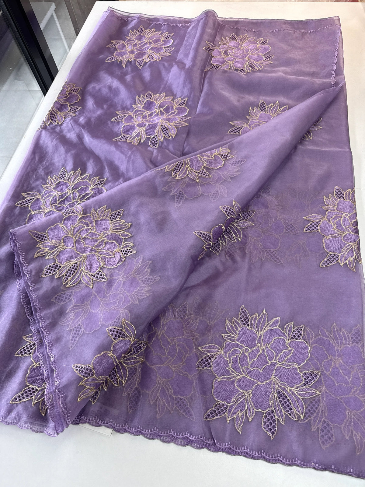 Soft organza saree/ CW766