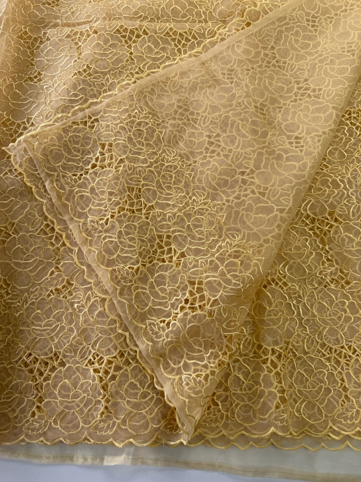 Soft Organza Saree/ AM103