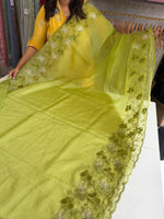 Soft organza Saree/ CW804