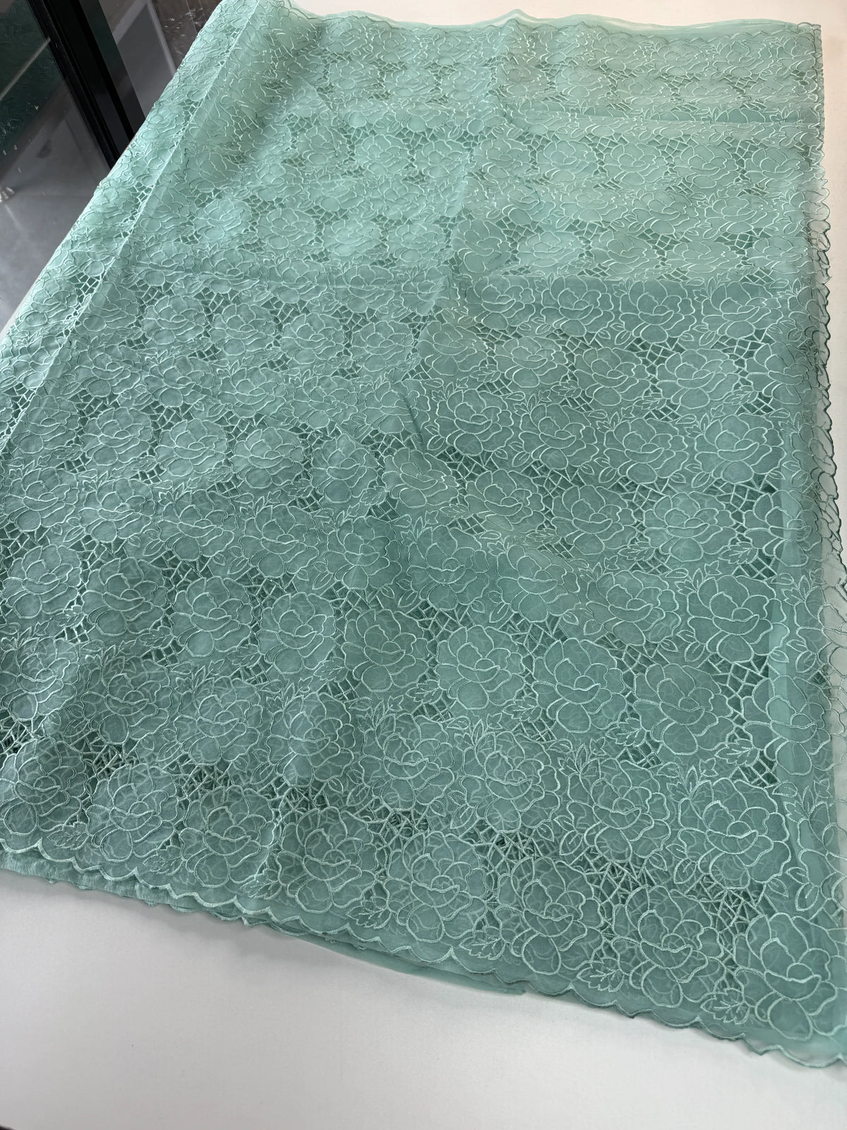 Soft Organza Saree/ AM103