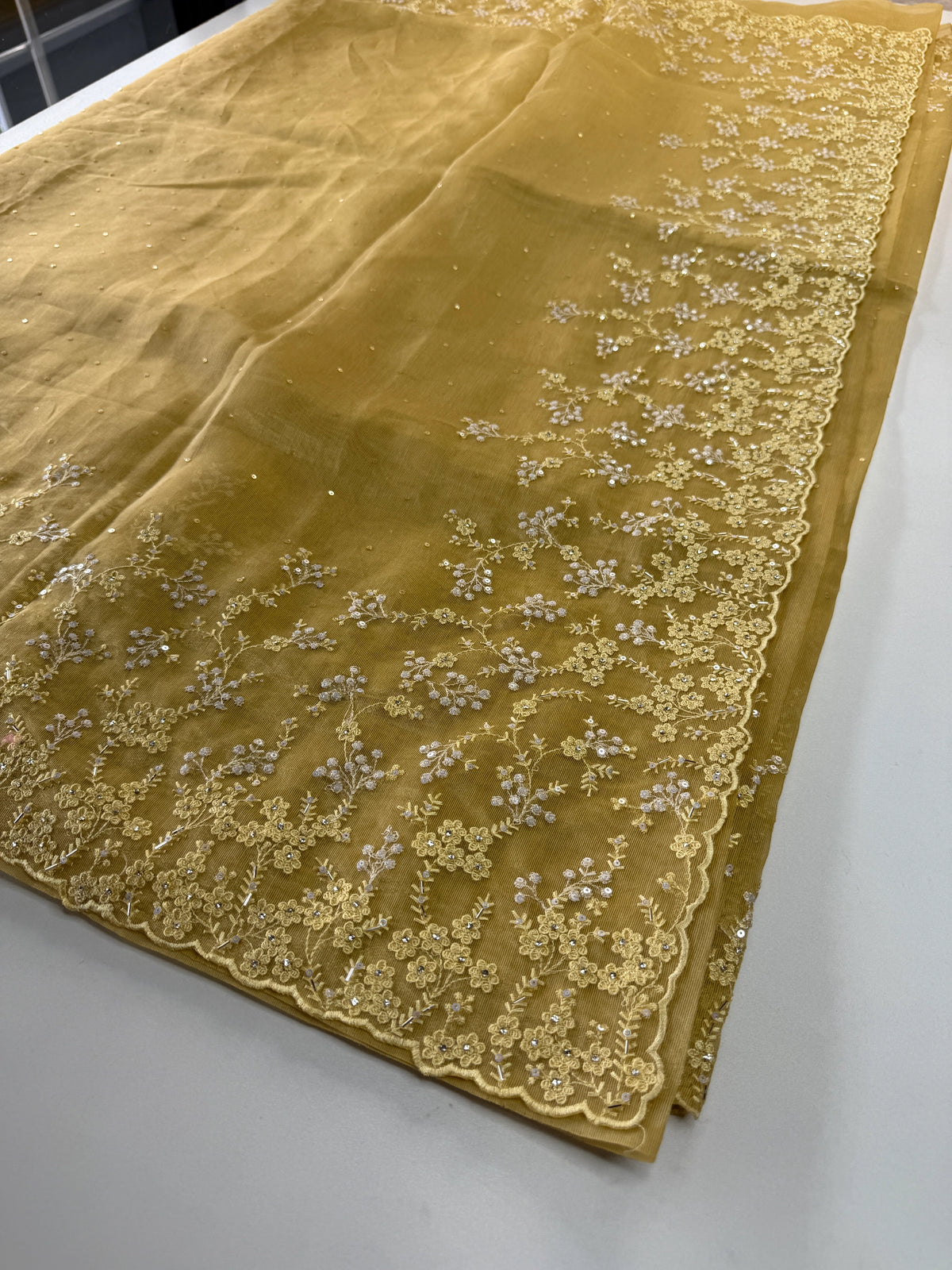 Tissue Chanderi saree/ HL456
