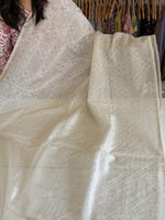 Tissue blended Organza Saree/ SH895