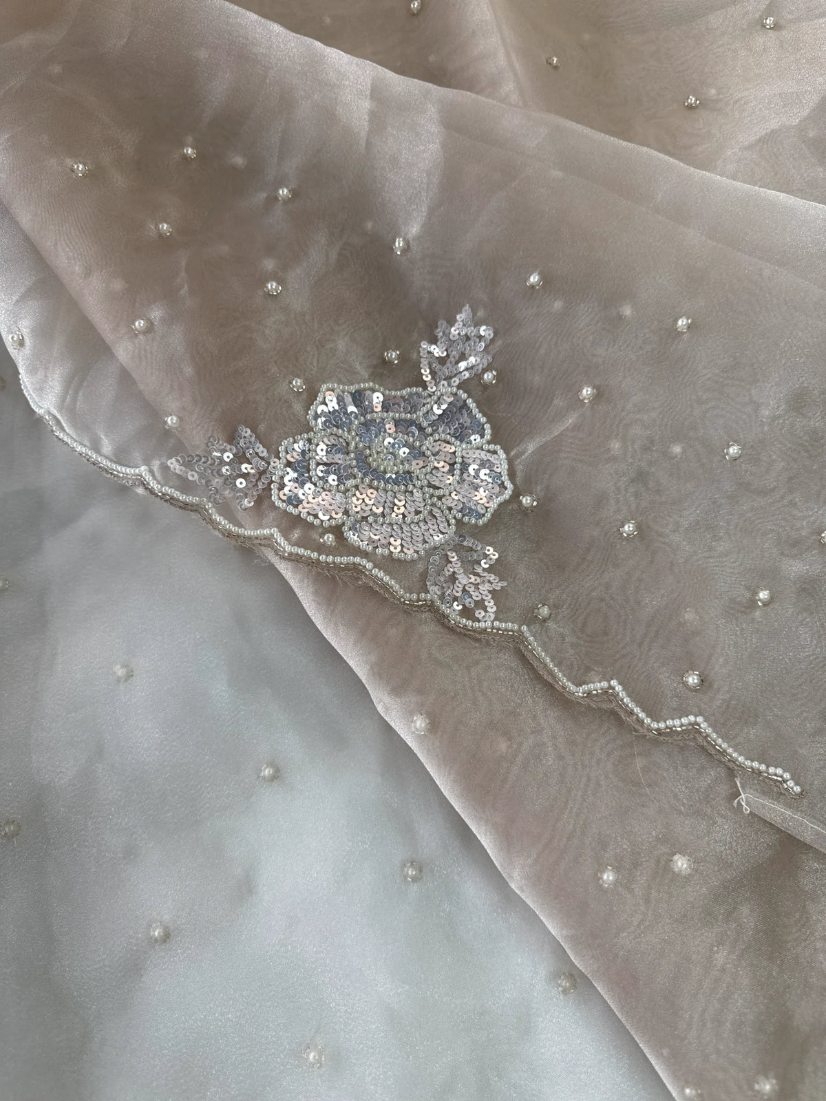 Glass Organza Saree/ AP1010
