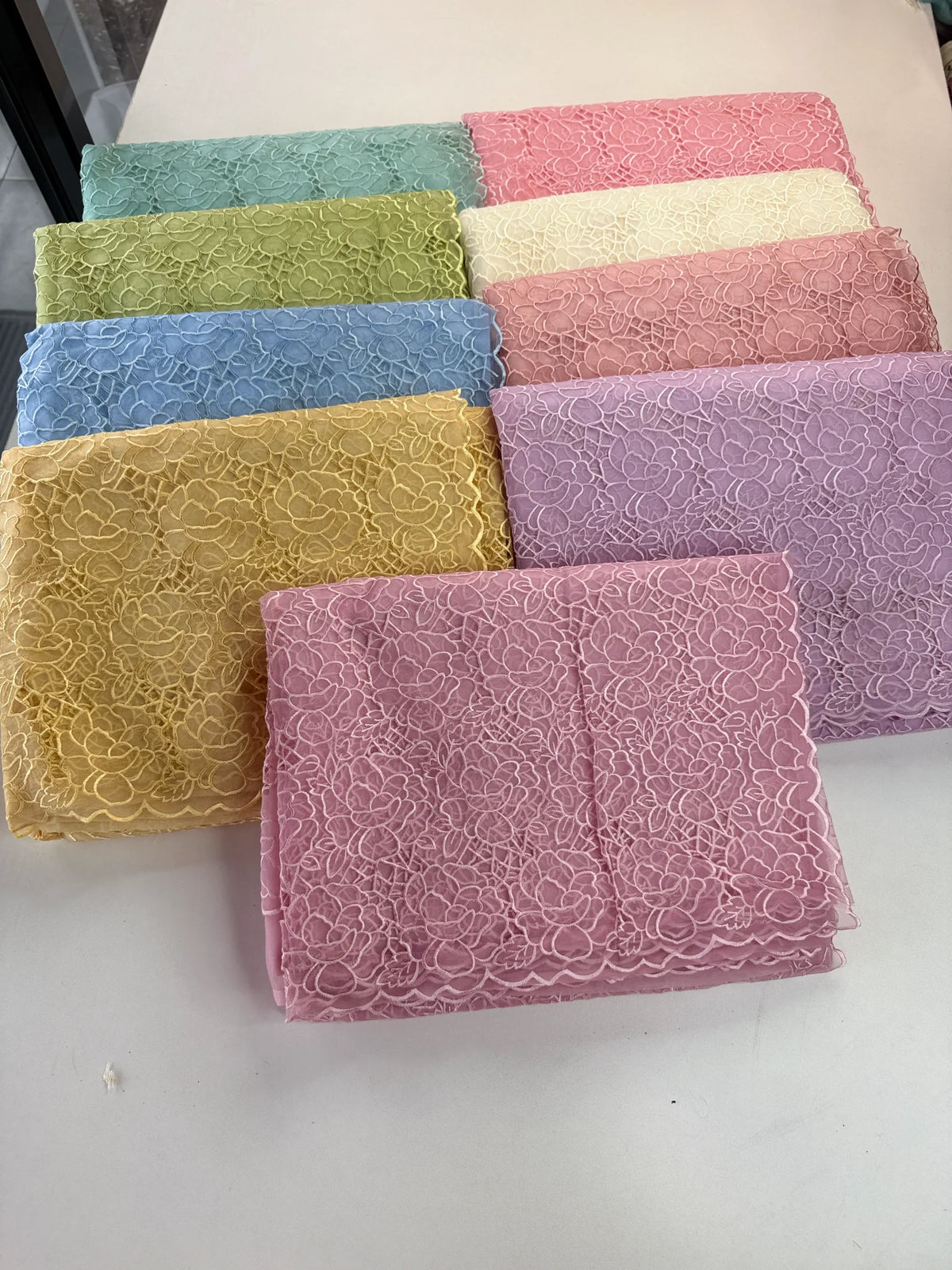 Soft Organza Saree/ AM103