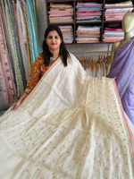 Chanderi Organza blend / SR133
