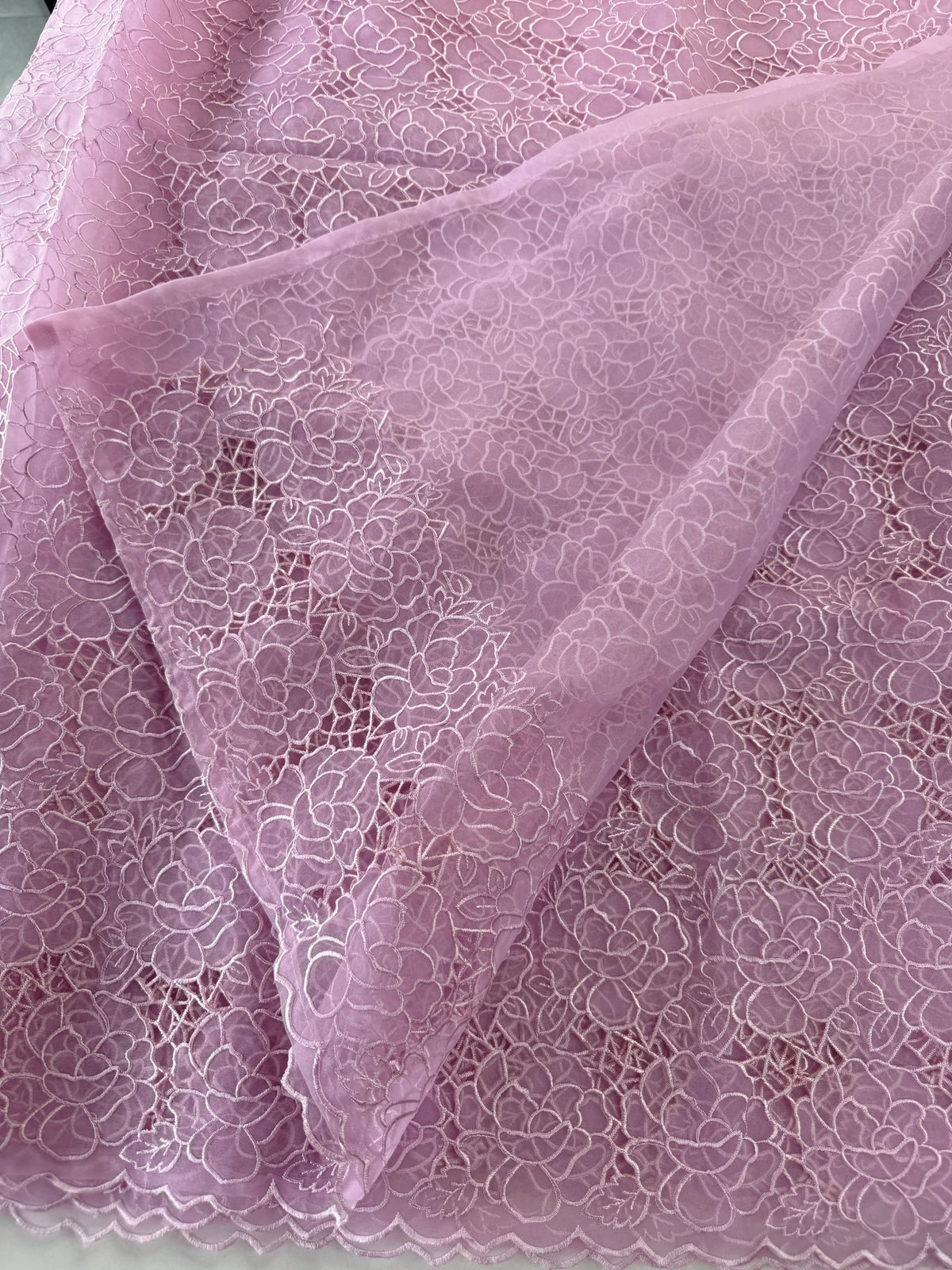Soft Organza Saree/ AM103