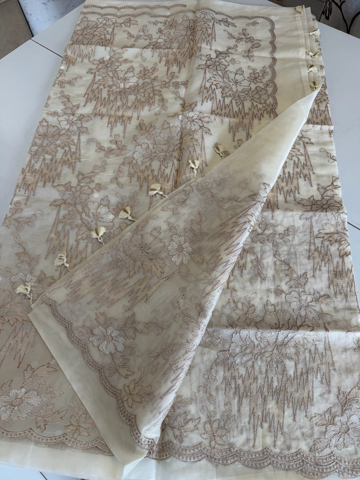 Organza saree/ 845S