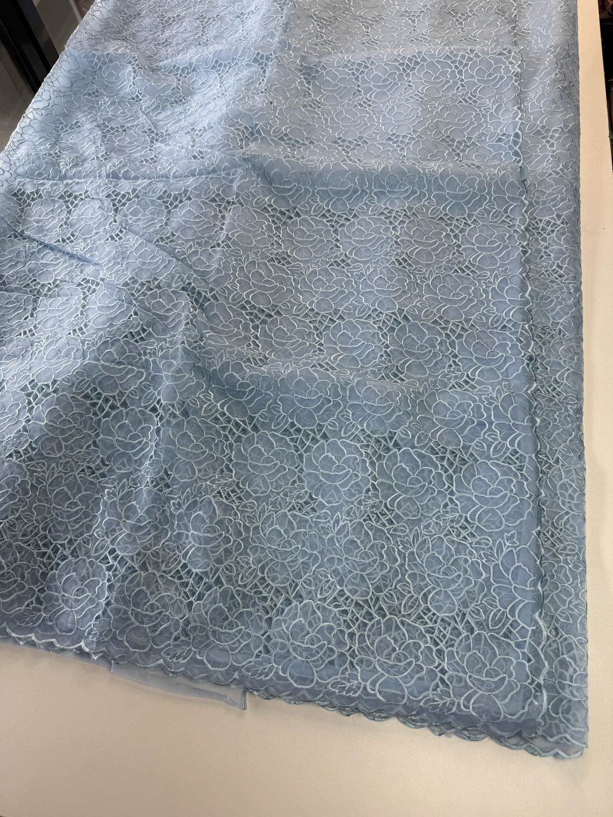 Soft Organza Saree/ AM103