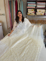 Soft Organza Saree/ AM103