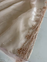 Shimmer organza / AM105