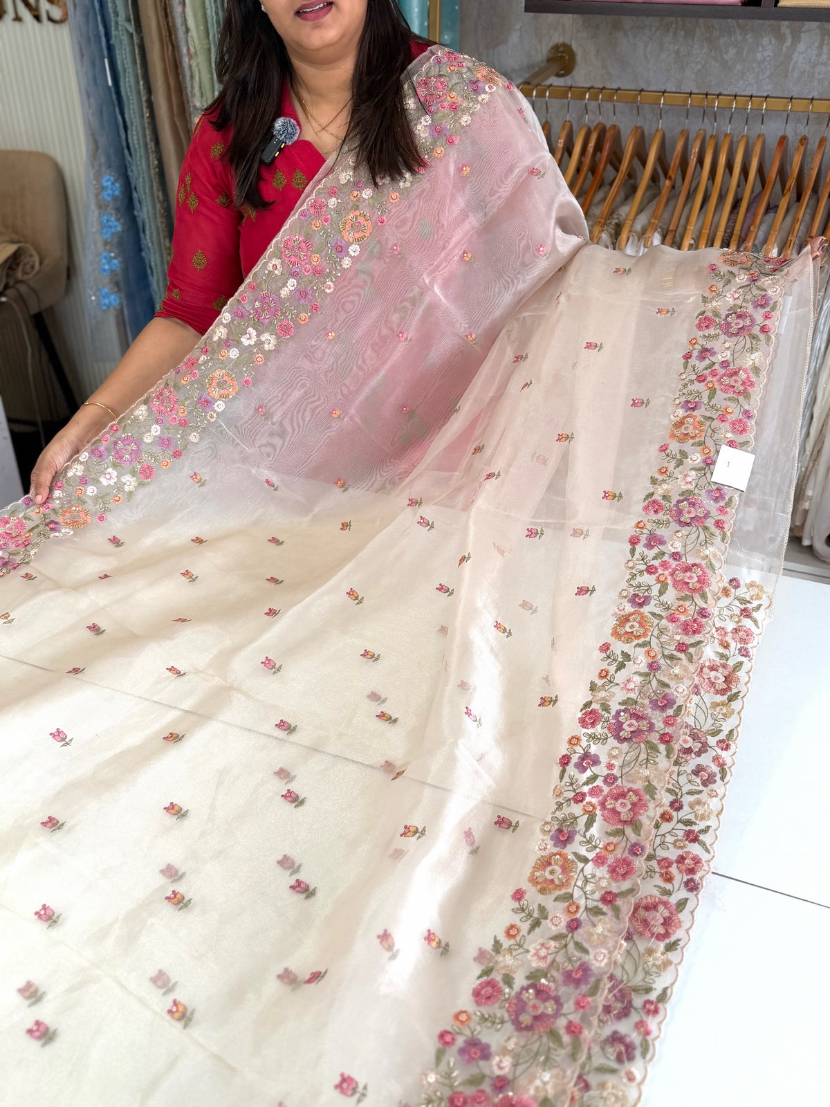 Glass organza saree/ 67HL