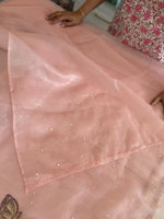 Premium shimmer organza saree/ SA266