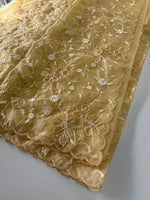 Soft Organza Saree/ CW779
