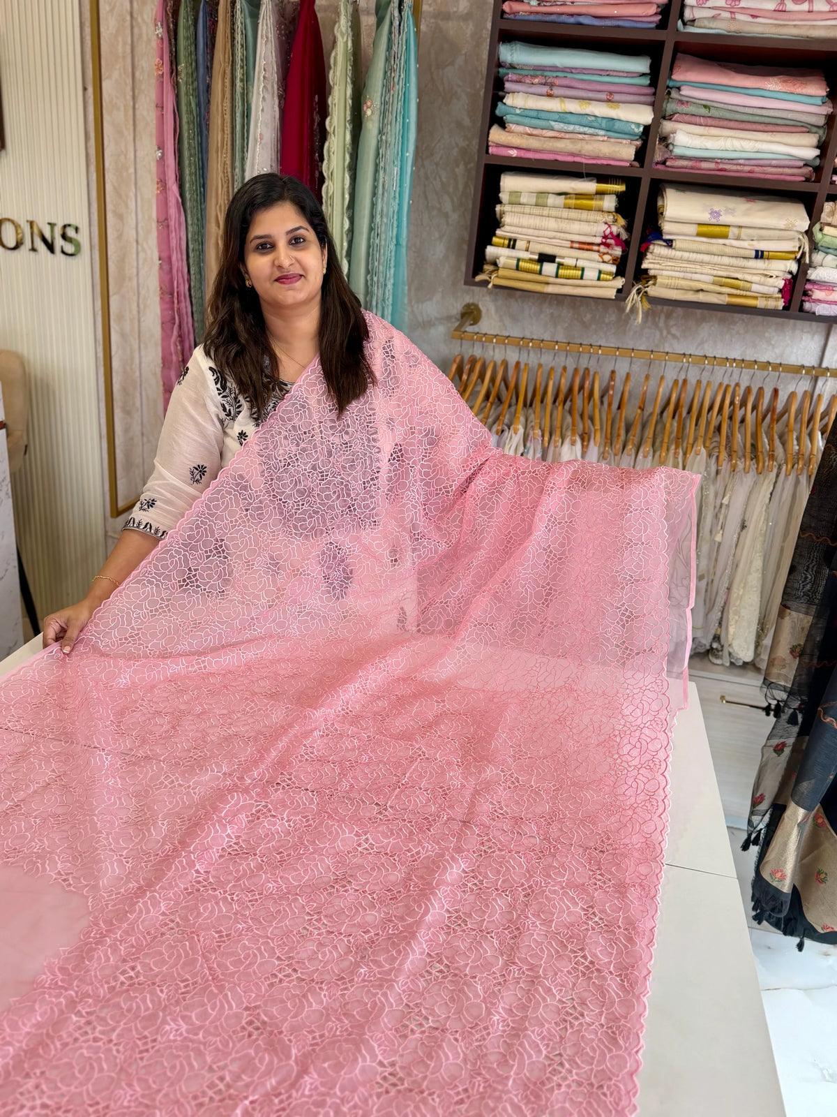 Soft Organza Saree/ AM103