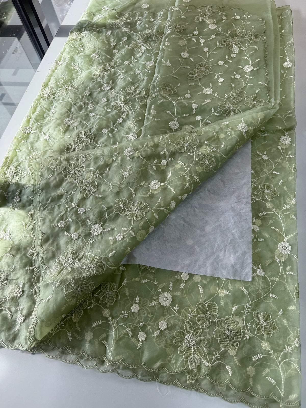 Soft Organza Saree/ CW779