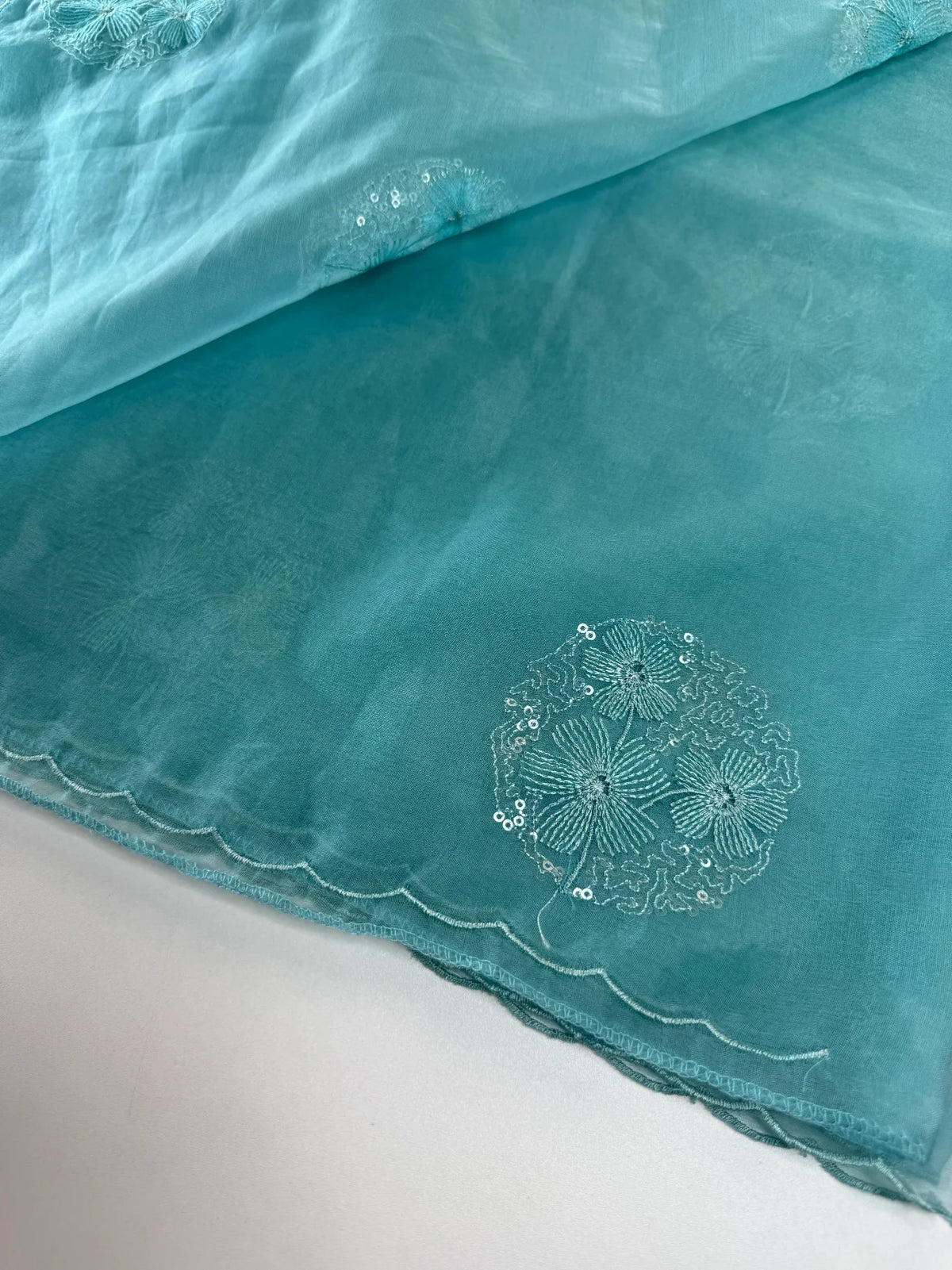 Soft organza saree/ CW038