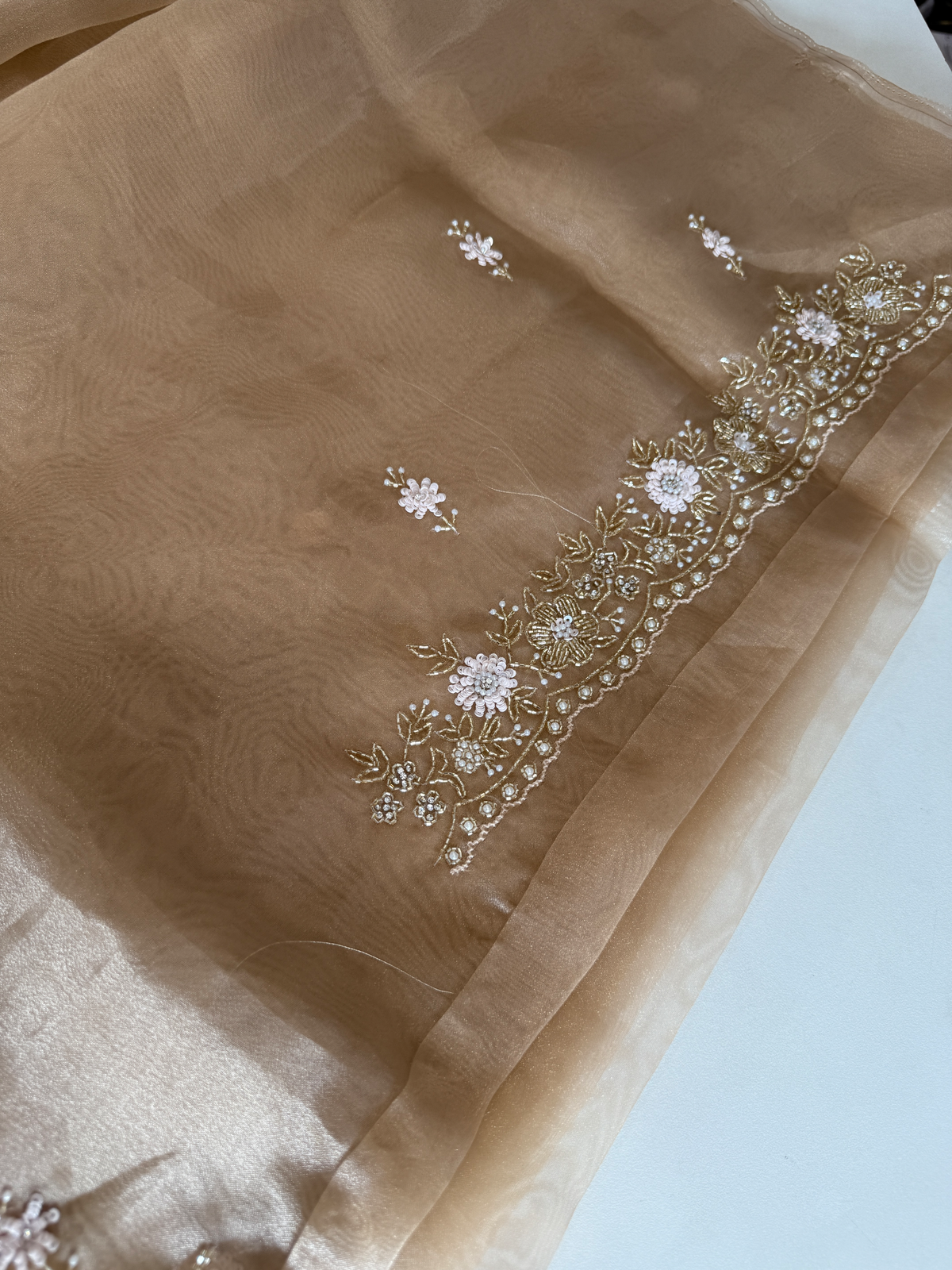 Glass organza party wear saree/ SA850