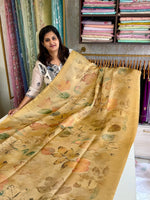 Tissue saree/ SB101