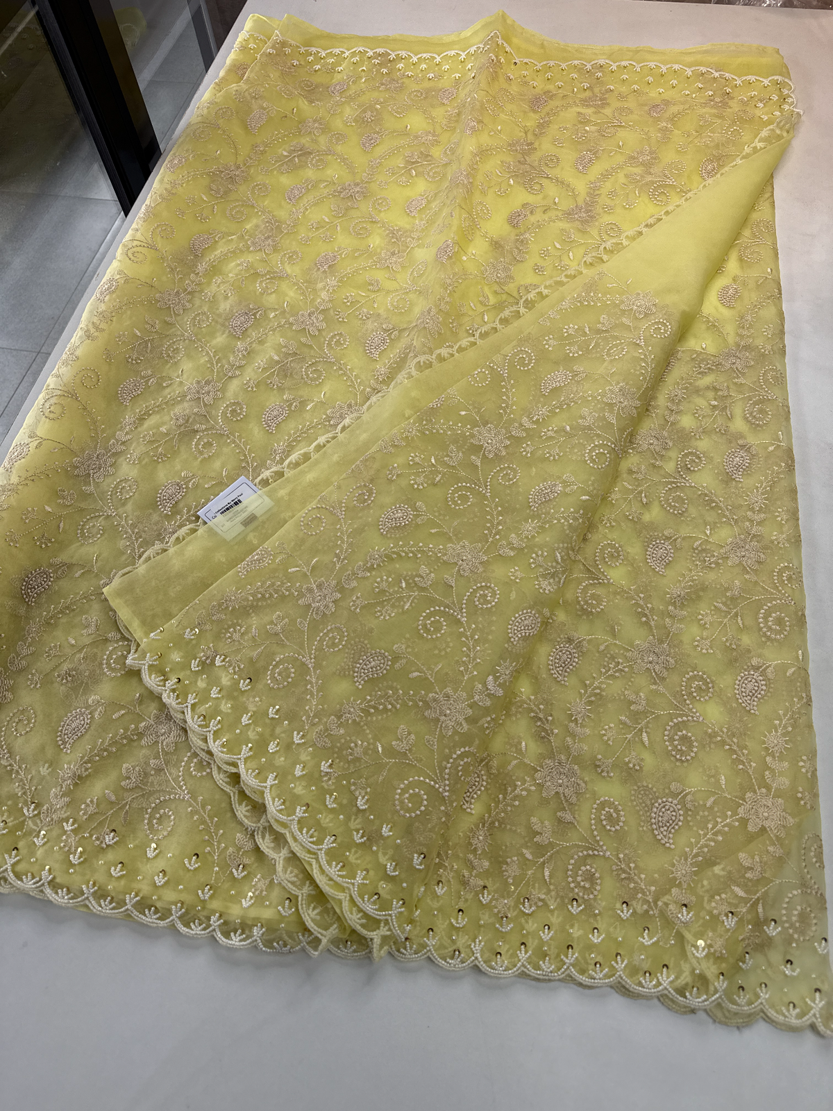 Soft Organza Saree / 221A