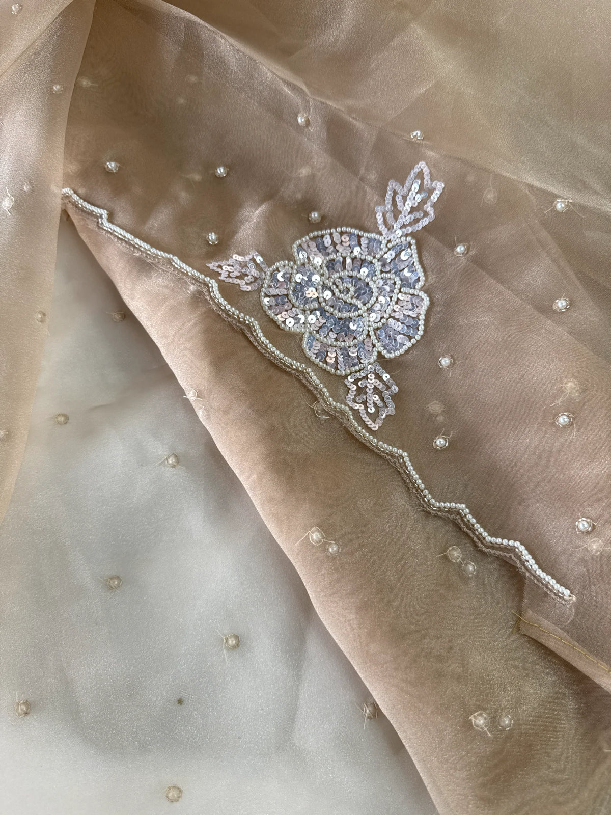 Glass Organza Saree/ AP1010